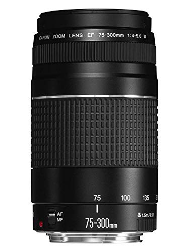Canon 75-300 mm f/4-5.6 III - Objetivo para Canon (Zoom óptico 4X,diámetro: 58mm), Color Negro [Versión española]
