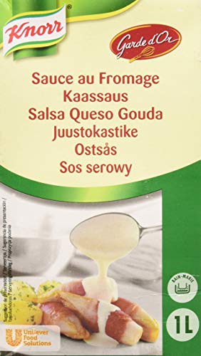 Knorr Garde D'Or Salsa Queso Gouda líquida lista para usar brik 1L
