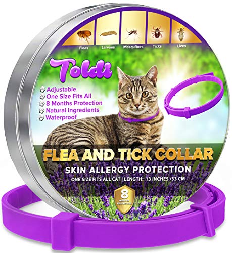 Tratamiento contra Las pulgas en Gatos - Collar antipulgas Gatos Regulable - 8 Meses de protección contra pulgas, garrapatas y piojos - Resistente al Agua - Morado - Toldi